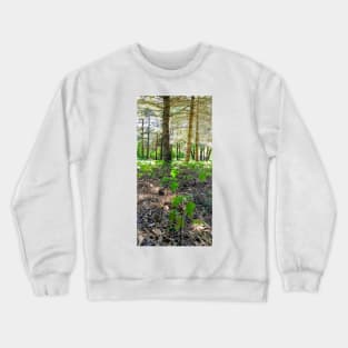 Ready to Go Crewneck Sweatshirt